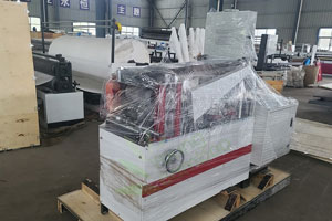 Young-Bamboo-220-type-without-printing-color-napkin-machine-shipping-to-Germany-napkin-machine