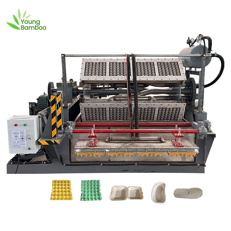 Custom Young Bamboo paper egg tray making machine automatic egg carton ...
