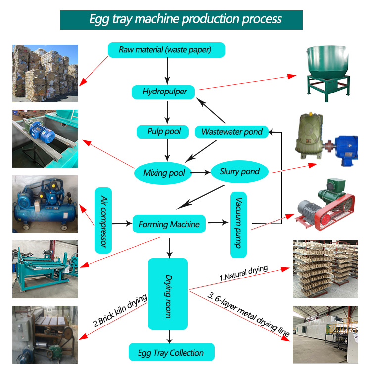 egg tray production process